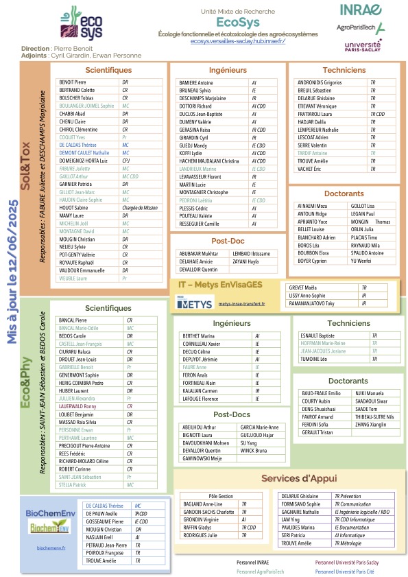 Organigramme EcoSys