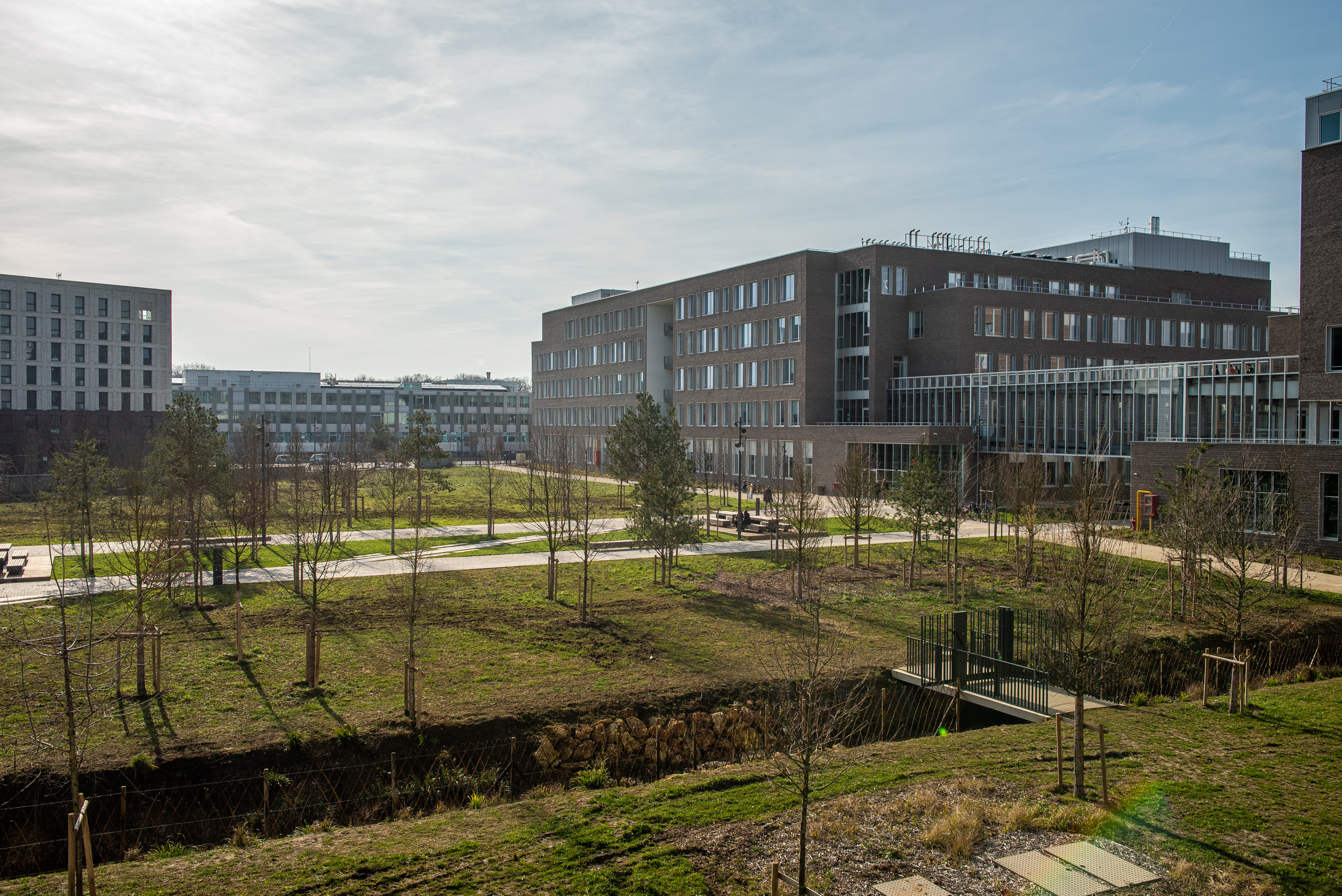 photo campus