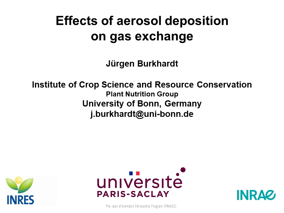 Effects of aerosol deposition on gas exchange